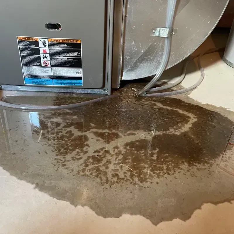 Appliance Leak Cleanup in Fishkill, NY